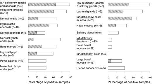 Figure 2. Tracking of B cells with Cμ deletion in various tissues by PCR. The frequency (%) of positive samples is represented by horizontal columns and the numbers (n) of analyzed individual samples are indicated on the left. Detection of a single or multiple clones was graded according to the number of PCR products revealed (≥ 2 electrophoretic bands, indicated by ▧; see Figure 1B). Of the 4 positive samples (9%) of small bowel mucosa, 3 were histologically normal and 1 had celiac disease. Of the 5 positive samples (28%) of large bowel mucosa, 3 were histologically normal, 1 had Crohn colitis, and 1 had ulcerative colitis.