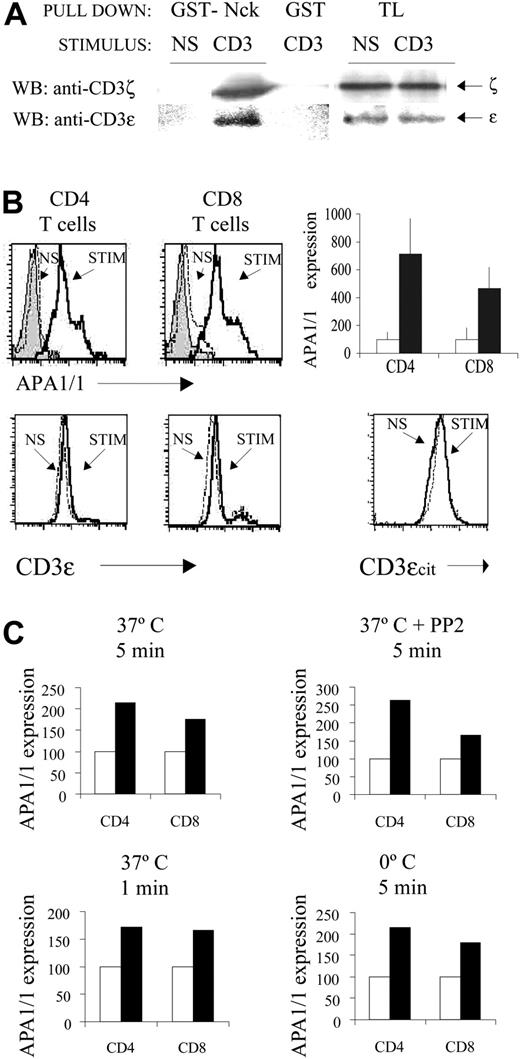 Figure 1. Antibody engagement of the TCR induces the exposure of the APA1/1 epitope in primary cells. (A) Pull-down assay. Spleen cells from C57BL/6 mice stimulated for 5 minutes with 10 μg/mL soluble anti-CD3 145-2C11 or left nonstimulated (NS) were lysed in Brij96, and the lysate was incubated with GST-Nck beads or with GST. Precipitated proteins were subjected to immunoblotting and were probed first with anti-CD3ζ and subsequently with anti-CD3ϵ M20. Total lysate (TL) was run as a control of loading. (B) Induced exposure of the APA1/1 epitope. Spleen cells from C57BL/6 mice were stimulated (STIM) with soluble anti-CD3 for 5 minutes at 37°C or were left nonstimulated (NS), fixed, permeabilized, and stained with APA1/1. Staining with an irrelevant IgG1 antibody was carried out in parallel on stimulated cells as a control (gray shaded curves). APA1/1 immunofluorescence on gated CD4+ and CD8+ T cells is shown. The diagram to the right shows the quantitative increase in mean fluorescence intensity (MFI) after stimulation (in reference to the nonstimulated cells, □) and SD from data collected in triplicate. To quantify total TCR levels, permeabilized spleen T cells were stained either with anti-CD3ϵ antibody 145-2C11 or with antibody M20, recognizing the C-terminal end of CD3ϵ (CD3ϵcit). (C) Protein tyrosine kinase (PTK) and temperature independence of APA1/1 epitope exposure. Spleen T cells were stimulated with anti-CD3 for 5 minutes at 37°C in the presence or absence of 20 μM PP2, for 1 minute at 37°C, or for 5 minutes on ice. For PP2 treatment, cells were preincubated with the drug for 30 minutes before stimulation. ▪ indicates stimulated samples; □, nonstimulated samples.