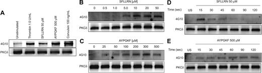 Figure 1. Effect of PAR1 and PAR4 activation on tyrosine phosphorylation of PKCδ. Washed and aspirin-treated platelets were stimulated with thrombin (1.0 U/mL), SFLLRN 50 μM, AYPGKF 500 μM, and convulxin 100 ng/mL (A), with either increasing concentrations (B-C) or varying times (D-E) of agonists as indicated at 37°C. The stimulation times for thrombin, SFLLRN, AYPGKF, and convulxin were 60, 20, 60, and 60 seconds, respectively. PKCδ was immunoprecipitated as described, and the samples were analyzed for tyrosine phosphorylation by Western blotting using the monoclonal phosphotyrosine (4G10) antibody. Equal lane loading was assured by probing the samples with PKCδ antibody. The Western blot shown is representative of experiments done using platelets from 3 different donors.