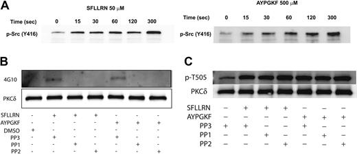 Figure 5. The activation of Src family tyrosine kinases downstream of PAR stimulation in platelets. Washed and aspirin-treated platelets were stimulated with either SFLLRN (50 μM) or AYPGKF (500 μM) for the different time points at 37°C, and the activation of Src family tyrosine kinases were studied by Western blotting using the phospho-Src (Y416) antibody (A). Washed and aspirin-treated platelets were stimulated with either SFLLRN or AYPGKF in the presence and absence of PP1 (10 μM) or PP2 (10 μM) at 37°C, and the tyrosine phosphorylation of PKCδ was measured (B). PP3 (10 μM) was used as a negative control. Washed and aspirin-treated platelets were stimulated with either SFLLRN or AYPGKF in the presence or absence of 10 μM PP1 or PP2, and the threonine 505 phosphorylation was measured by Western blotting using the phospho-PKCδ (T505) antibody (C). The Western blots shown are representative of experiments performed using 3 different donors.