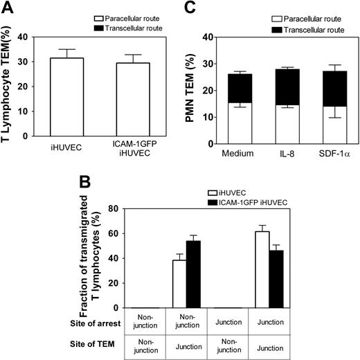 Figure 6. Elevated ICAM-1 expression does not trigger T-lymphocyte transcellular TEM. The site of T-lymphocyte arrest and subsequent TEM, or PMN location of TEM across 4-hour TNF-α-activated iHUVECs or ICAM-1 GFP iHUVECs was determined by live-cell imaging as in the legend of Figure 4. (A) The percentage of T lymphocytes that transmigrated by paracellular or transcellular routes was determined. (B) The fraction of transmigrated T lymphocytes with different sites of arrest and TEM of ICAM-1GFP iHUVECs, grouped as in Figure 4A, were determined. (C) Four-hour TNF-α-activated ICAM-1GFP iHUVECs were incubated for 15 minutes with 100 ng/mL recombinant human IL-8, 10 μg/mL SDF-1α, or buffer alone and then assayed for PMN TEM as detailed in the legend of Figure 4.