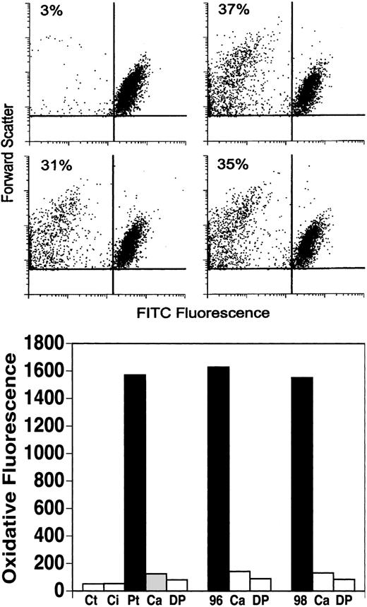 Figure 4. Effect of rabbit Abs raised against HIV-1 10-mer wild-type peptides or 7-mer phage peptides on platelet fragmentation and oxidation. (Top) Gel-filtered platelets were incubated with control rabbit IgG (upper left quadrant) or rabbit Ab against peptide batches 1096 (upper right quadrant), 1098 (lower left), and 1099 (lower right) at 37°C for 4 hours. The percentages refer to fragmented platelets per 10 000 events counted. (Bottom) Similar incubation with assay of Ab-induced platelet oxidation. Ct indicates control buffer; Ci, control IgG; and Pt, patient IgG. Ca and DP indicate preincubation with scavenger of reactive oxygen species and inhibitor of NADPH oxidase, catalase (60 μg/mL) and diphenylenediodonium (100 nM), respectively; 96 and 98 refer to rabbit Ab against peptide batches 1096 and 1098.