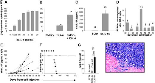 Figure 1. In vitro and in vivo growth of IL-6-dependent INA-6 MM cells. (A) In vitro growth of INA-6 cells in the absence or presence of increasing doses of exogenous huIL-6. (B) In vitro coculture of INA-6 cells and BMSCs in the absence of exogenous IL-6. *P < .05. (C) Levels of shuIL-6R in sera of mice injected with INA-6 cells into human bone implant (SCID-hu, n = 45) or subcutaneously (SCID, n = 8). (D) Clustering of a cohort of 45 SCID-hu mice on the day of first detection of serum shuIL-6R. (E) The kinetics of appearance and evolution of shuIL-6R in SCID-hu mice (n = 16) following engraftment of INA-6 cells (2.5 × 106 cells) injected directly into human bone implant. Each symbol represents a different SCID-hu mouse. (F) Overall survival of SCID-hu (•; n = 16) and SCID mice (○; n = 8) after INA-6 injection (2.5 × 106 cells/mouse). (G) Levels of huIL-6 in sera of SCID or SCID-hu mice given injections of INA-6 cells either subcutaneously or directly into the human bone implant, respectively. Sera were obtained from tail vein in SCID mice (n = 4), or from both tail vein and fetal bone aspirate in SCID-hu mice (n = 6). (H) H&E staining of a human fetal bone section implanted in a SCID-hu mouse and engrafted with INA-6 cells (original magnification ×100). Error bars in panels A-C and G indicate standard error.