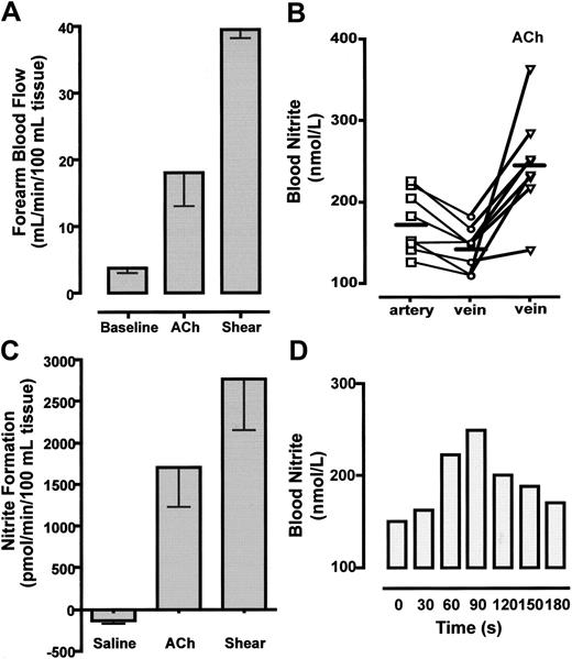 Figure 3. Changes in nitrite concentration during blood flow through the human forearm circulation. (A) Infusion of acetylcholine (ACh) (7.5 μg/min) intra-arterially in the human forearm and ischemia-induced flow-mediated dilation causes a 4- to 10-fold increase in forearm blood flow. (B) The stimulation reverses the normal small uptake of nitrite to instead cause a release of nitrite into the circulation, a result consistent with NO-to-nitrite conversion during forearm circulatory passage. Horizontal bars represent mean values. (C) Comparison of nitrite formation under basal conditions (saline infusion) and NOS stimulation via ACh or shear stress. (D) Time profile of nitrite responses in whole venous blood during continuing ACh infusion (representative results). Error bars show standard error of the mean.