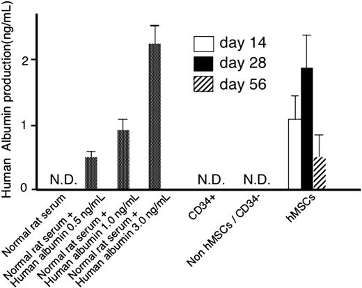 Figure 3. Human albumin production in the serum of rats receiving hMSCs, CD34+ cells, or non-hMSCs/CD34- cell transplantation as evidenced by ELISA. Three elevated doses of purified human albumin (included in the kit) were mixed to the normal rat serum to test the sensitivity of detecting human albumin in rat serum. Rat plasma was collected and human serum albumin was assayed with ELISA at days 14, 28, and 56. Two rats were used in each group for CD34+ cells and non-hMSC/CD34- cell transplantation, respectively. Four rats were used in each group for hMSCs. We included in the ELISA 5 different concentrations of human albumin to create a standard curve from which to extrapolate the absorbance reading for each test sample. A triplicate sample of diluent alone was used to set the zero point for the ELISA. The final absorbance obtained in our test samples was calculated after subtracting the zero point absorbance. Error bars indicate standard deviations (SDs). N.D. indicates not determined.