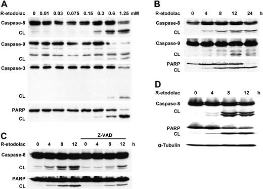 Figure 2. R-etodolac induces caspase cleavage and activation of apoptosis. MM.1S cells were cultured (A) for 24 hours with R-etodolac (0-1.25 mM) or (B) with R-etodolac (0.6 mM) for the indicated times. CL indicates cleaved band. (C) MM.1S cells were preincubated with Z-VAD-FMK (25 μM) for 30 minutes prior to treatment with R-etodolac (0.6 mM) for the indicated times. (D) RPMI8226 cells were also cultured with or without R-etodolac (0.6 mM) for indicated times. Total cell lysates were subjected to Western blotting using anti-caspase-8, -caspase-9, and -caspase-3, -PARP, and -α-tubulin Abs.