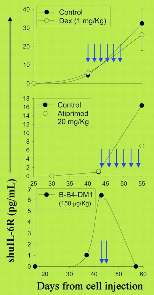 Effect of dexamethasone, atiprimod, and B-B4-DM1 treatment on serum soluble human IL-2 receptor (shuIL-2R) of SCID-hu mice engrafted with INA-6 cells. See the complete figure in the article beginning on page 713.