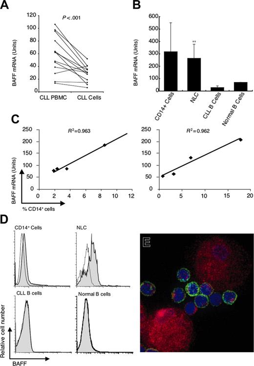 Figure 1. Expression of BAFF mRNA and protein. (A) Quantitative real-time RT-PCR was performed on RNA samples isolated from the blood mononuclear cells of individual patients with CLL before (left) and after (right) depletion of CD2+ and CD14+ cells. The lines connect the preisolation and postisolation levels of BAFF mRNA detected in each sample. The amount of BAFF mRNA detected is indicated in arbitrary units. The amount of BAFF mRNA detected in an equivalent number of U937 cells is 1000 units (data not shown). (B) Quantitative real-time RT-PCR measurement of the average amount of BAFF mRNA detected in CD14+ cells (n = 4), NLCs (n = 12), purified CLL B cells (n = 12), and isolated CD19+ blood B cells of healthy donors (n = 2), as indicated at the bottom of the panel, ± SD (**the level of BAFF mRNA detected in NLCs was significantly greater than that found in isolated CLL B cells, P < .001). (C) Reconstitution experiments in which small numbers of CD14+ blood mononuclear cells are added to 5 × 106 isolated CLL B cells that subsequently were evaluated for BAFF mRNA in 2 representative patients. On the x-axis is the percent of CD14+ cells detected by FACS in the reconstituted cell population prior to extraction of RNA. The y-axis indicates the level of BAFF mRNA detected in units as defined in the description for panel A. (D) Representative histograms depicting surface BAFF detected by flow cytometry on CD14+ cells, NLCs, CD19+ CLL B cells, or CD19+ blood B cells of healthy donors, as indicated at the top of each graph. Shaded histograms represent the fluorescence of cells stained with a fluorochrome-labeled anti-BAFF mAb, whereas the open histograms depict the fluorescence of cells stained with an isotype control mAb. (E) An immunofluorescence picture of NLCs and CLL cells stained with fluorescein-labeled anti-CD19 mAb (green) and a PE-labeled anti-BAFF mAb (red). The nuclei are labeled blue with Hoechst 33342.