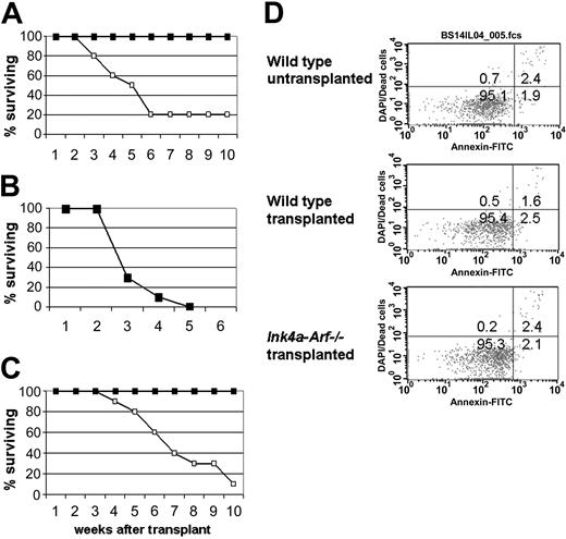 Figure 5. Survival in different cohorts generated by serial transplantation of Ink4a-Arf–/– BM. (A) Survival of secondary recipients of transplants of 1 × 105 BM cells. The survival curve for recipients of Ink4a-Arf–/– BM is indicated by ▪ and that from recipients of wild-type cells by □. The number of weeks after transplantation is indicated on the x-axis. (B) Survival of tertiary recipients of 1 × 105 Ink4a-Arf–/– BM cells. There is no wild-type control because there were not enough healthy surviving mice with wild-type BM cells from the previous transplantation round. (C) Survival of recipient mice in the fourth round of serial transplantation. Mice were given 1 × 106 BM cells from the third-round serial recipients of either Ink4a-Arf–/– BM (▪) or from wild-type BM (□). (D) Apoptotic rates are not changed in primary recipients of wild-type and Ink4a-Arf–/– BM cells. Mice received transplants of 2 × 105 cells from either wild-type or Ink4a-Arf–/– mice, and their BM was analyzed 2, 3, and 4 weeks after transplantation. Cells were stained with Lin-APC-Cy7 antibody cocktail, c-Kit-APC, Sca-PE, and annexin V–FITC antibodies and analyzed by flow cytometry. Annexin V marks apoptotic cells. DAPI (4,6-diamidino-2-phenylindole) was used to mark dead cells. Shown is a representational analysis of apoptotic rates in the KSL fraction of BM cells from recipient mice 3 weeks after transplantation. Other time points were not significantly different and are not shown. Analysis of a wild-type mouse not given a transplant is shown for comparison. Numbers indicate the percentage of cells in each quadrant.