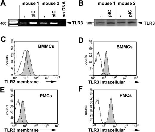 Figure 2. Expression of TLR3 in murine MCs. (A) BMMCs from 2 mice were left unstimulated or were stimulated for 1 hour with 10 μg/mL poly(I:C). RT-PCR was performed as described in “Materials and methods.” The amplified products were electrophoresed on 1.5% agarose gel. A mock PCR (without cDNA) was included to exclude contamination. The amount of cDNA analyzed was similar in different samples, as shown by PCR amplification of β-actin cDNA. (B) BMMCs were treated with 10 μg/mL poly(I:C) for 24 hours (pIC) or left untreated. Expression of TLR3 protein was analyzed by Western blotting in cell lysates using specific anti-TLR3 antibodies. Position of TLR3 is indicated on the right, and molecular mass is indicated on the left. Expression of TLR3 was shown by surface staining of BMMCs (C) or PMCs (E) as described in “Materials and methods.” Intracellular staining of BMMCs (D) or PMCs (F) for TLR3 was performed after fixation and permeabilization of cells. For surface staining of BMMCs, anti-TLR3 antibodies and biotinylated secondary anti–mouse IgG1 antibodies and APC-labeled streptavidin were used. For surface staining of PMCs and intracellular staining, A647-labeled anti-TLR3 antibodies were used. Gray and white areas show staining with anti-TLR3 and isotype-matched control antibodies, respectively. Results are representative of 4 independent experiments.