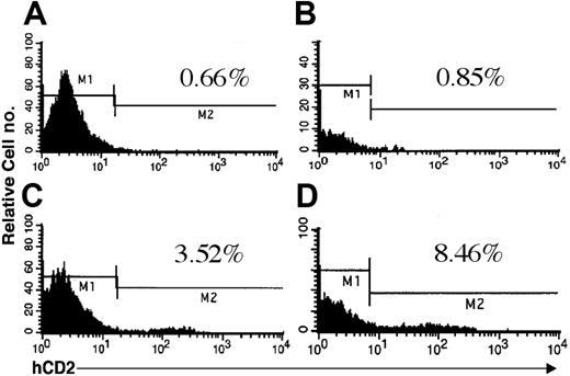Figure 3. Expression of hCD2 surrogate marker in bone marrow of mice. Doubly transgenic animals were killed, and cells were flushed from the long bones of the hind legs. Flow cytometry was performed as described using either an IgGk1 isotype control (A-B) or an anti-hCD2 antibody (C-D). Jurkat cells were used as a positive control for anti-hCD2 in all experiments (data not shown). Mice from both founder lines 6468 (A,C) and 6543 (B,D) were included in the analysis. The percentage of positive cells is indicated in each panel.