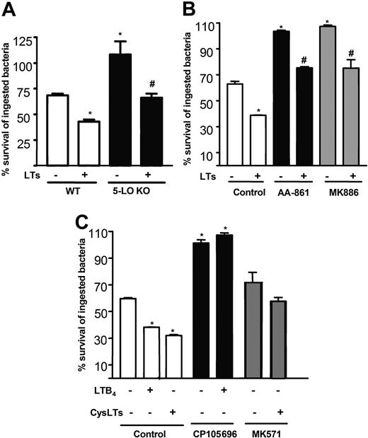 Figure 2. Role of endogenous LTs and their receptors in AM killing of opsonized K pneumoniae. (A) AMs from WT or 5-LO KO mice were infected with 50:1 K pneumoniae for 30 minutes, incubated without or with LT mixture (LTB4, 1 nM; LTC4 and LTD4, 100 nM each), and bacterial killing was then assessed. (B) Rat AMs were pretreated with vehicle control, the 5-LO inhibitor AA-861 (10 μM), or the FLAP inhibitor MK-886 (1 μM) for 15 minutes before the addition of opsonized K pneumoniae. Thirty minutes after infection, drugs were added back with or without LT mixture, and bacterial killing was assessed. (C) Rat AMs were treated with the LTB4 receptor antagonist CP105696 (10 μM) or the cysLT receptor antagonist MK571 (10 μM) or vehicle control for 15 minutes before the addition of opsonized K pneumoniae. Thirty minutes after infection, the antagonists were added back with or without 1 nM LTB4 or LTC4 plus LTD4 (100 nM each). Microbicidal activity was assessed. Data are expressed as mean ± SE percentage of survival of ingested bacteria of quadruplicate values from 1 of 4 representative experiments. *P < .05 compared with untreated control by ANOVA. #P < .05 versus AA-861, MK 886, or 5-LO KO group by ANOVA.