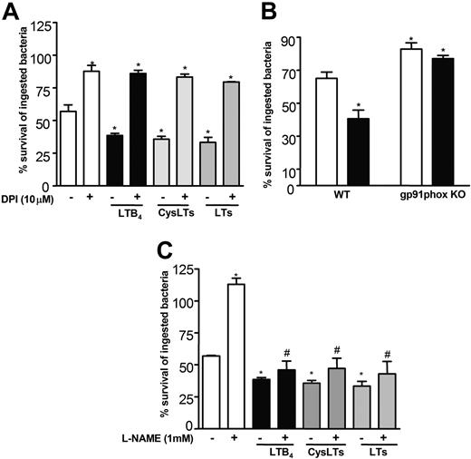 Figure 3. Role of ROIs and NO in basal and LT-enhanced AM microbicidal activity. (A) Rat AMs were pretreated with the NADPH oxidase inhibitor DPI (10 μM) for 20 minutes before the addition of opsonized K pneumoniae. Thirty minutes later, DPI was added back with or without LTB4 (1 nM), LTC4 plus LTD4 (100 nM each, cysLTs), or LT mixture (LTB4, 1 nm; LTC4 and LTD4, 100 nM each). (B) AMs from WT or gp91phox KO mice were infected, and LT mixture was added 30 minutes after infection. □ indicates control; ▪, LTs. (C) Rat AMs were pretreated with the NO synthase inhibitor L-NAME (1 mM) for 20 minutes before the addition of opsonized K pneumoniae. Thirty minutes later L-NAME was added back with or without LTB4 (1 nM), LTC4 plus LTD4 (100 nM each, cysLTs), or LT mixture (LTB4, 1 nm; LTC4 and LTD4, 100 nM each). Microbicidal activity was assessed colorimetrically. Data are expressed as the mean ± SE percentage of survival of ingested bacteria from quadruplicate values from 1 of 2 representative experiments. *P < .05 versus control. #P < .05 versus L-NAME group by ANOVA.