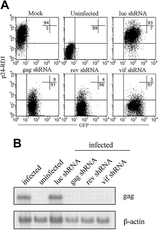 Figure 1. Lentiviral delivery of shRNAs targeting viral genes inhibits HIVIIIB replication. HeLa-CD4 cells stably expressing shRNAs targeting luc, gag, rev, or vif generated by sorting GFP-positive cells 3 to 5 days after lentiviral transduction were infected with HIVIIIB and analyzed 5 days later. (A) The level of infection was determined by flow cytometry after staining for intracellular p24 expression. Numbers indicate percentage of cells in the respective quadrants. (B) The 9.3-kb HIV RNA was detected on Northern blots using a gag RNA probe.
