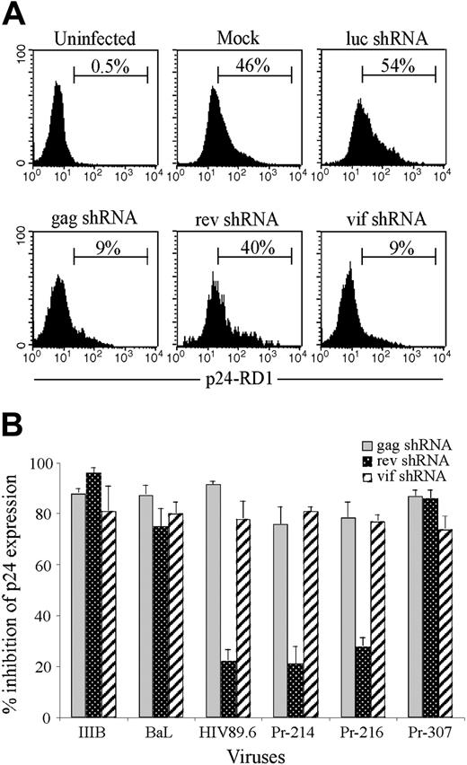 Figure 4. Antiviral activity of shRNAs against clade B primary viruses. Sorted GFP-positive CD4+ T cells expressing luc, gag, rev, or vif shRNAs were infected with the IIIB, 89.6, or BaL lab-adapted strains or with primary HIV isolates from donors 214, 216, and 307 and analyzed by flow cytometry for p24 expression 6 days later. (A) Representative flow cytometry analysis of lentivirus-transduced CD4 T cells infected with primary virus from donor 216. (B) The extent of viral inhibition in cells expressing each of the 3 shRNAs was calculated as the reduction in the percent of p24-positive cells in cultures selected for HIV shRNA expression compared with cultures expressing luc shRNA. Values represent averages of 2 independent experiments, with the range indicated. The target sequences of the various viruses used are depicted in Table 2.