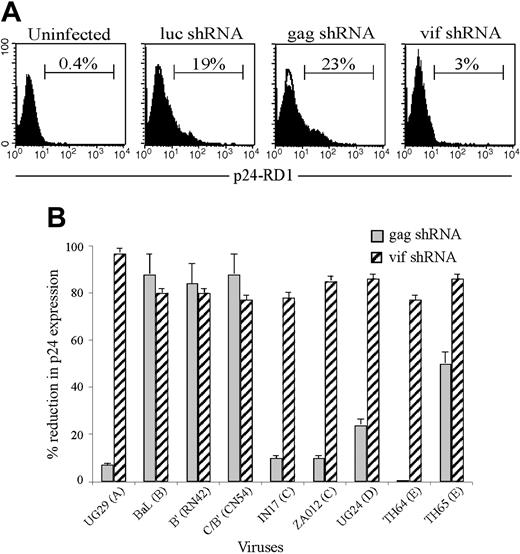 Figure 5. Antiviral effect of gag or vif shRNAs against viruses from diverse clades. GFP-positive CD4+ T cells expressing luc, gag, or vif shRNAs were infected with primary viruses representative of multiple HIV clades and analyzed for intracellular p24 expression by flow cytometry 6 days later. (A) Representative histogram of CD4 cells transduced with indicated shRNA and infected with clade C, Indian virus IN17. (B) The reduction in p24 expression in HIV shRNA-transduced cells relative to luc shRNA-transduced cultures is graphed. Data represent means and SD of 3 independent experiments. The target sequences of the various viruses used are depicted in Table 3.