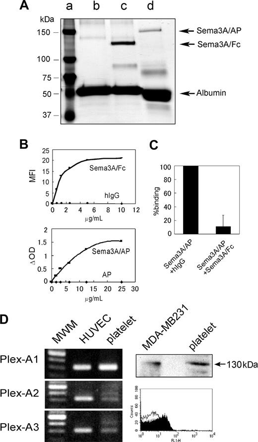 Figure 1. Detection of Sema3A binding to platelets and expression of Sema3A receptors in platelets. (A) Silver stain of purified Sema3A fusion proteins; 0.25 μgof Sema3A/Fc (∼ 125 kDa, lane c) and Sema3A/AP (∼ 150 kDa, lane d) were loaded on a 7.5% SDS-PAGE gel under reducing conditions and silver staining was performed. Sema3A/Fc and Sema3A/AP samples contain BSA as a carrier protein. In lane c, only BSA was loaded. Molecular weight marker was loaded in lane a. (B) Binding of Sema3A/Fc or Sema3A/AP to platelets. Washed platelets (5 × 105) were incubated with Sema3A/Fc or hIgG, followed by incubation with FITC anti–human Fc. Sema3A/Fc binding was detected by flow cytometry, and mean fluorescence intensity (MFI) was plotted in the top panel. Washed platelets (5 × 106) were incubated with Sema3A/AP or AP, and after washing, AP activity was measured using disodium phenylphosphate as a substrate. Change in optical density (ΔOD) was plotted on the bottom panel. Shown are representative results of 3 independent experiments. (C) Inhibition of Sema3A/AP binding by Sema3A/Fc. Washed platelets were first incubated with 125 μg/mL hIgG or Sema3A/Fc. Then, platelets were incubated with 10 μg/mL Sema3A/AP, and AP activity was measured. Shown is mean and SE of relative binding to hIgG-incubated sample of 3 independent experiments. (D) Expression of plexin-A1, -A2, or -A3 in platelets was detected by RT-PCR assay (left). Human umbilical vein endothelial cell (HUVEC) was used as a positive control. Expression of neuropilin-1 in platelets was detected by Western blotting and flow cytometric analysis (right). In Western blotting, neuropilin-1 expression was detected by anti–neuropilin-1 antibody, followed by incubation with HRP anti–mouse IgG. MDA-MB231 was used as a positive control. In flow cytometry, platelets were incubated with mouse monoclonal anti–neuropilin-1 antibody (filled curve) or control antibody (MOPC21; open curve), followed by incubation with Alexa488-conjugated anti–mouse IgG. MWM indicates molecular weight marker.