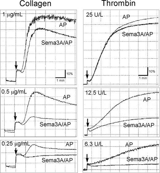 Figure 3. Inhibition of platelet aggregation by Sema3A. Washed platelets preincubated with 20 μg/mL Sema3A/AP or AP were activated with the indicated concentrations of collagen (left column) or thrombin (right column). Platelet aggregation was monitored using a platelet aggregometer. Arrow indicates the addition of agonists. Shown are representative results of 3 independent experiments.