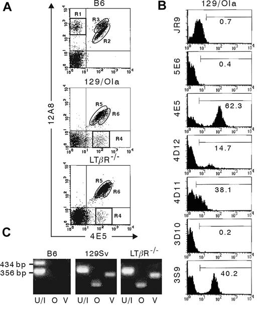 Figure 3. Expression of 129/Ola alleles of Ly49 receptors on LTβR–/– NK cells. Flow cytometric analysis (A-B) was performed on freshly isolated splenocytes from B6, 129/Ola, and LTβR–/– mice. (A) DX5-enriched cells were stained with mAbs for DX5, CD3 and with 12A8 and 4E5 mAbs. The regions R1 to R6, which are referred to in the text, are indicated. (B) Splenocytes from 129/Ola mice were stained with mAbs for DX5, CD122, and CD3 and with the indicated antibodies specific for the different Ly49 receptors and CD94/NKG2. The results are presented as the percentage of positive cells in the region indicated by the horizontal bar. Analysis was performed by gating on (A) DX5+CD3– splenocytes or (B) DX5+CD122+CD3– splenocytes. (C) RNA was extracted from DX5-enriched splenocytes from the indicated mouse strains, and RT-PCR was performed using primers generated for Ly49 receptor family members ly49u/i (U/I), ly49o (O), and ly49v (V) from 129/J mice. The length of the PCR products obtained with Ly49U/I primers are indicated.