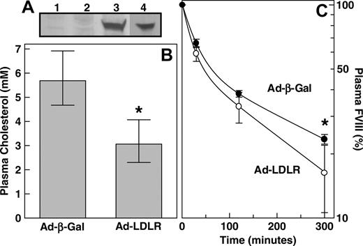 Figure 4. FVIII clearance after adenovirus-mediated overexpression of human LDLR in mice. (A) Liver membrane extracts of wild-type mice that received Ad-CMV-β-Gal (n = 2) (lanes 1-2) or Ad-CMV-LDLR (n = 2) (lanes 3-4) were subjected to 4% to 15% SDS-PAGE analysis under nonreducing conditions. Human LDLR expression was detected by immunoblotting, using a rabbit anti–human LDLR antibody and the ECL system. (B) LDLR–/– mice were intravenously injected with 2 × 109 plaque-forming units Ad-CMV-β-Gal (n = 5) or Ad-CMV-LDLR (n = 5). Five days after adenovirus injection, blood was drawn and plasma was analyzed for plasma cholesterol. (C) Wild-type C57BL/6J mice were intravenously injected with 2 × 109 plaque-forming units Ad-CMV-β-Gal (•) (n = 4) or Ad-CMV-LDLR (○) (n = 6). Five days after adenovirus injection, animals were intravenously injected with purified human FVIII (20 IU), and its plasma removal was monitored at indicated time points. Data represent geometric mean values and 68% confidence intervals. *P < .05, significantly different from that of control Ad-CMV-β-Gal–treated mice; Mann-Whitney U test.
