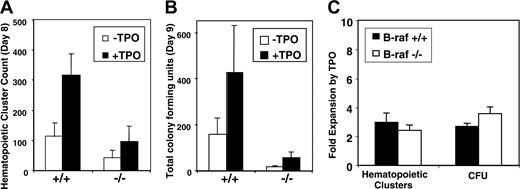 Figure 3. Tpo-induced expansion of hematopoietic clusters and myeloid progenitors derived from B-raf–/– ES cells cocultured with OP9 cells. The number of (A) day-8 hematopoietic clusters and (B) day-9 myeloid progenitors generated from 1 × 105 day-5 mesodermal colony cells in the presence or absence of TPO (50 ng/mL from day-5 replating onward) are presented. (C) The fold expansion, calculated by dividing the number of clusters and progenitors generated in the presence of TPO by those generated in the absence of TPO, is plotted. (A-C) The data represent the average ± SD for 3 independent experiments.
