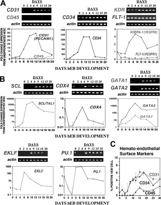 Figure 1. Quantitative real-time RT-PCR and FACS expression analysis of key hematoendothelial genes in differentiating hEBs. Human-specific PCR primers (Table 1) were used to amplify indicated target genes. Levels of gene expression differences for (A) hematoendothelial surface markers or (B) hematopoietic regulatory transcription factors were calculated using the 2–ΔΔCT method as described in “Materials and methods,” based on the CT (threshold curve) for each target gene and internal normalizations with actin. Values of fold change in expression are relative to baseline expression levels in FACS-sorted populations of undifferentiated hESCs (day 0 hEBs) and are expressed as “fold expression from undifferentiated hESC.” Shown above graphs are the corresponding agarose gels of PCR products obtained at linear phases of qPCR reactions. Standard deviations between duplicate or triplicate samples are shown. PECAM indicates platelet-endothelial cell adhesion molecule 1. (C) Developmental progression of hematoendothelial surface marker expression on disaggregated hEB cells at various time points. “% positive hEB cell” represents fluorescence value obtained by FACS analysis following subtraction of control sample background. Each time point represents the mean of 3 to 5 independent experiments with indicated standard deviations.