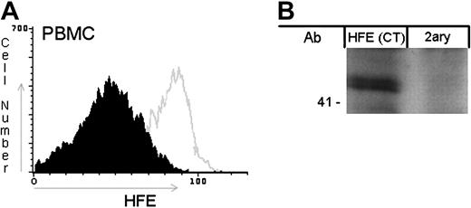 Figure 1. HFE expression in PBMCs. (A) Permeabilized PBMCs (without the C282Y HFE mutation) were stained for HFE. The open curve represents the HFE labeling in WT cells. The filled curve represents the MFI of the negative control obtained by incubation with an isotype-matched nonspecific antibody. A representative example of 7 independent experiments is shown. (B) HFE from whole-cell lysates of WT PBMCs was detected by Western blot with anti-HFE C-terminal (CT) Ab. A total of 30 μg total protein was separated by 10% SDS-PAGE and transferred to a nitrocellulose membrane. The membrane was probed with anti-HFE (CT) or with secondary antibody alone (2ary). The molecular weight marker is shown on the left.