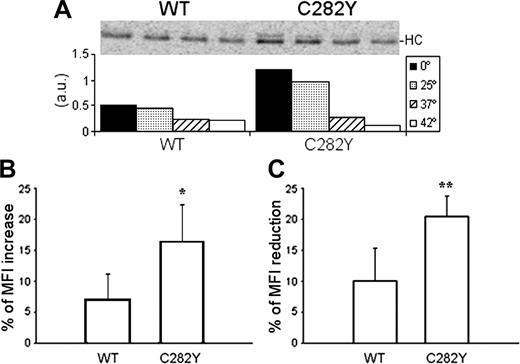 Figure 7. Peptide stability and cell-surface turnover of MHC class I molecules. (A) After 2.5 hours of 35S-labeling, lysates from 10 × 106 cells were divided in 4 equal fractions and incubated at 0°C, 25°C, 37°C, and 42°C during 3 hours before W6/32 immunoprecipitation. The bars in the graph represent the intensity of each single band determined by phosphoimaging (a.u., arbitrary units). Representative data are from one experiment repeated 4 times in a total of 4 WT and 7 C282Y homozygous subjects with similar results. (B) PBMCs were cultured overnight at 25°C and 37°C before W6/32 surface staining. Results are presented as percentage of MFI increase of the cells cultured at 25°C. *Statistically significant difference between the C282Y and the WT cells (P < .05). Data compare 6 C282Y homozygous with 4 WT subjects. (C) W6/32 surface staining was performed before and after culturing WT and C282Y homozygous PBMCs for 5 hours in the presence of 20 μg/mL BFA. Results are presented as percentage of MFI reduction after the BFA treatment. *Statistically significant difference between the C282Y and the WT cells (P < .01). Data compare 8 C282Y homozygous with 6 WT subjects.