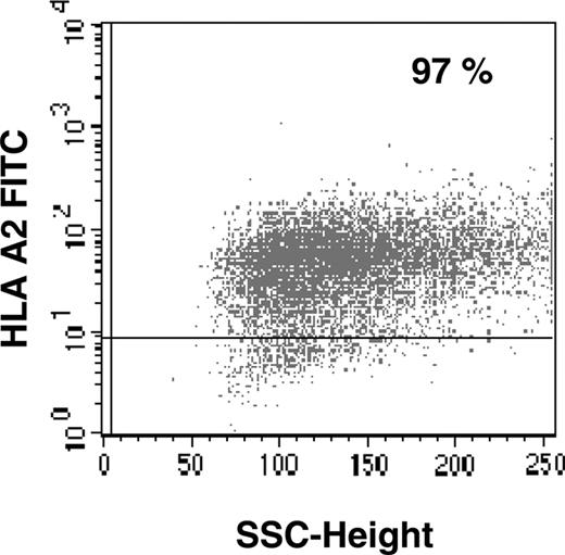 Figure 6. FACS analysis of HLA-A2/RHAMM/CD168 double-transfected COS7 cells. Flow cytometry for HLA-A2 was performed to detect HLA-A2&RHAMM/CD168 double-transfected COS7 cells. A stable transfection up to more than 97% was achieved after positive selection with antibiotics. For flow cytometry, no appropriate mAb against RHAMM/CD168 was available.