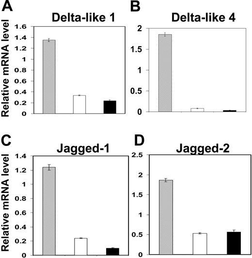 Figure 4. Migrant thymic precursors do not express Notch ligands. Freshly sorted CD45+ precursors obtained from the perithymic and intrathymic regions of the thymus were analyzed for expression of Notch ligands DL1 (A), DL4 (B), Jagged-1 (C), and Jagged-2 (D) by RT-PCR. Note that in comparison to thymic stromal cells that express readily detectable levels of Notch ligands (▦), migrant thymic precursors from the mesenchyme (□) or epithelium (▪) of the E12 thymus were found to express little if any of the Jagged and Delta families of Notch ligands. Data shown are representative of 3 separate experiments and are expressed as mean ± SEM.