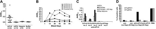 Figure 1. Characterization of a murine immunization model of anti-PF4/heparin. (A) Antibody formation. Euthymic BALB/c mice were injected intravenously with antigens (mP+H, mPF4, heparin, or buffer) as described in “Study design.” Antibodies to the immunizing antigen were measured by ELISA 14 days later. Horizontal bars indicate the mean. (B) Temporal course of antibody formation. Mice injected as with mP+H (by intravenous or intraperitoneal route) or buffer (controls) were followed for about 90 days from the onset of immunization. Error bars indicate standard deviation. (C) Antigen specificity of anti-mP+H. Mice developing high-titer antibody responses after intravenous or intraperitoneal injection (IV P+H no. 2, IV P+H no. 0, and IP P+H no. 2) were tested for antigen specificity toward mPF4, mPF4/heparin, mPF4/heparin in the presence of excess heparin and to rat albumin. (D) Heparin-dependent platelet activation by anti-mPF4/heparin antibody. Murine plasma containing PF4/heparin autoantibody (anti-mP+H) or control plasma (con) in the presence of low-dose (0.02 U/mL; Lo Hep) or high-dose heparin (20 U/mL; Hi Hep) was incubated with WT platelets lacking FcγRIIA or platelets from transgenic mice expressing human FcγRIIA (FcγRIIA+). Phorbol 12-myristate 13-acetate (PMA) was used as a positive control. Platelet activation was measured by expression of annexin V binding as described in “Study design.”