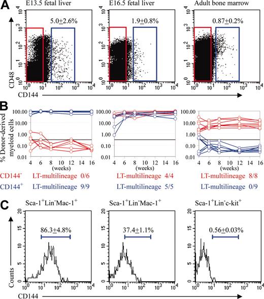 Figure 1. E13.5 fetal liver HSCs express the endothelial marker CD144 (VE-cadherin), but CD144 expression by HSCs declines over time and is no longer detected on adult bone marrow HSCs. (A) The frequency of CD144+ cells in the fetal liver declines over time. CD144– cells (red boxes) and CD144+ cells (blue boxes) were fractionated for functional studies. (B) Irradiated mice were competitively reconstituted with 1350 CD144+ cells or 48 650 CD144– cells from E13.5 liver, 500 CD144+ cells or 49 500 CD144– cells from E16.5 liver, and 2000 CD144+ cells or 198 000 CD144– cells from adult bone marrow. These cell doses were based on the proportion of CD144+ versus CD144– cells in 50 000 fetal liver cells, or 200 000 bone marrow cells as done in previous studies of marker expression by HSCs.18,21 The percentage of donor-derived myeloid (panels in B), B, and T (not shown) cells was analyzed in mice that underwent transplantation with CD144+ (blue lines) or CD144– (red lines) cells. Each line represents the level of donor myeloid cells in a mouse from 4 to 16 weeks after transplantation. The black line at 0.3% in each panel represents the background threshold observed in negative control mice, such that donor cell reconstitution could not be detected below this line. Mice that were long-term reconstituted by donor myeloid cells were always long-term multilineage reconstituted. The proportions of mice that became long-term multilineage reconstituted are indicated under each panel. (C) CD144 expression was analyzed in Sca-++Lineage–Mac-1+ HSCs from E13.5 and E16.5 fetal liver and in Sca-1+Lineage–c-kit+ HSCs from adult bone marrow.18,21