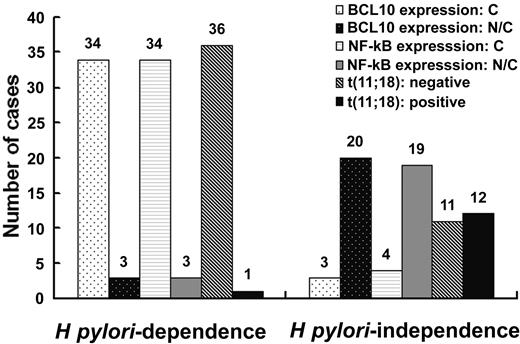 Figure 3. Correlation between H pylori independence and API2-MALT1 fusion transcript and nuclear expression of BCL10 and NF-κB. Number of patients in individual subgroups is indicated at the top of the corresponding histogram.