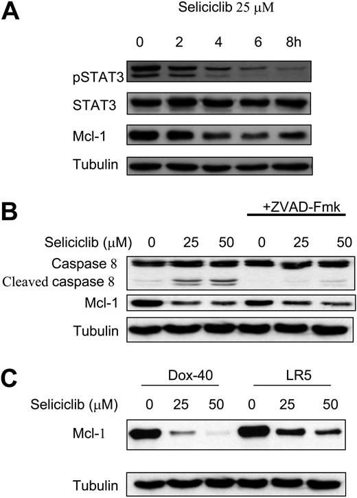Figure 3. Seliciclib treatment results in down-regulation of Mcl-1, associated with inhibition of STAT3 phosphorylation and independent of caspase cleavage, in MM cells sensitive and resistant to conventional therapies. MM1.S cells were incubated with seliciclib (25 μM) for 2, 4, 6, and 8 hours; seliciclib treatment resulted in down-regulation of Mcl-1, associated with time-dependent inhibition of pSTAT3 (A). Pretreatment of MM cells with Z-VAD-FMK followed by seliciclib for 6 hours resulted in down-regulation of Mcl-1 despite blocking caspase activity (B), suggesting that Mcl-1 down-regulation is independent of caspase cleavage. Mcl-1 protein expression was also down-regulated in resistant cell lines (Dox-40 and LR5) by seliciclib treatment for 6 hours (C).