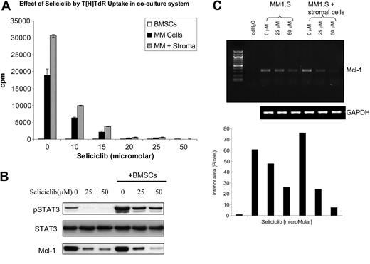 Figure 4. Seliciclib overcomes the protective effects conferred by BMSCs on MM cells via down-regulation of Mcl-1 transcription. MM 1.S cells were cultured in the presence of BMSCs. (A) Seliciclib resulted in inhibition of DNA synthesis of MM cells in the presence of BMSCs at 24 hours in a dose-dependent manner. Data represent the mean ± standard deviation of triplicate cultures. (B) Mcl-1 and pSTAT3 protein expression were both up-regulated in the coculture system and were inhibited by increasing doses of seliciclib for 6 hours. (C) Repression of Mcl-1 transcription was similarly noted by RT-PCR after 6 hours of exposure to seliciclib.