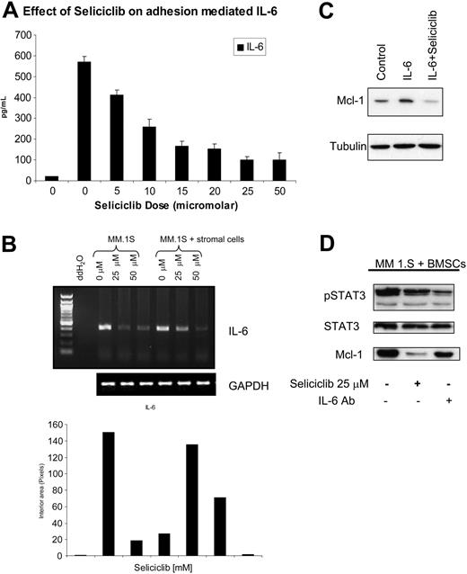 Figure 5. Seliciclib inhibits Mcl-1 transcription, at least in part, by inhibiting IL-6 transcription in the BM microenvironment. (A) Seliciclib inhibits MM1.S cell adhesion induced IL-6 secretion by BMSCs at 24 hours, assessed by ELISA. Data represent the mean ± standard deviation of triplicate cultures. (B) IL-6 transcripts were also down-regulated, as shown by RT-PCR. (C) Addition of exogenous IL-6 (10 ng/mL) resulted in up-regulation of Mcl-1, which was down-regulated by seliciclib (25 μM for 6 hours). (D) Addition of IL-6 neutralizing antibody (10 μg/mL) partially down-regulated Mcl-1 expression.