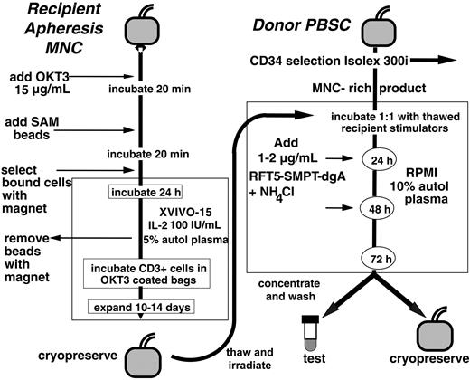 Figure 1. Process schema for generation of selectively depleted (SD) donor lymphocytes. Starting with recipient peripheral blood mononuclear cells collected by leukapheresis, CD3+ lymphocytes were immunomagnetically selected with OKT3 and sheep antimouse (SAM) beads and expanded to generate a stimulator T-cell population of high purity. The unadsorbed donor mononuclear cell (MNC)–rich fraction (responders) from CD34+ selection of G-CSF–mobilized PBSCs was cocultured with irradiated, expanded recipient CD3+ T lymphocytes (stimulators), and then subjected to 2 cycles of selective depletion with the anti-CD25 immunotoxin (RFT5-SMPT-dgA) before harvest of the final SD cells.
