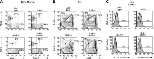 Figure 2. IL-6 gene-targeting restores lymphopoiesis in SHIP–/– mice. Bone marrow from wild-type, IL-6–/–, SHIP–/–, and IL-6–/– SHIP–/– mice were analyzed by flow cytometry and the results are representative of 5 separate animals. (A) B lymphocytes and myeloid cells from marrow of the various indicated animal strains were detected with anti-CD19 and anti–Mac-1 antibodies, respectively. (B) Bone marrow cells from indicated animals were depleted of Lin+ (CD2, CD3, CD8, CD19, B220, Mac-1, Gr1, TER-119) cells. The Lin– fraction was analyzed for levels of c-kit and Sca-1 expression. The gates for c-kithiSca-1+, c-kithiSca-1–, and c-kitloSca-1lo fraction are shown in each panel. The number indicates the percentage of cells falling within the indicated gate. (C) The Lin– fraction was gated on the fraction positive for reactivity with anti–IL-7Rα antibody. IL-7Rα+ cells are plotted for c-kit and Sca-1 expression. The absolute cell numbers from 5 animals are summarized in Table 1. Dotted line indicates isotype control; shaded curve, IL-7Rα.