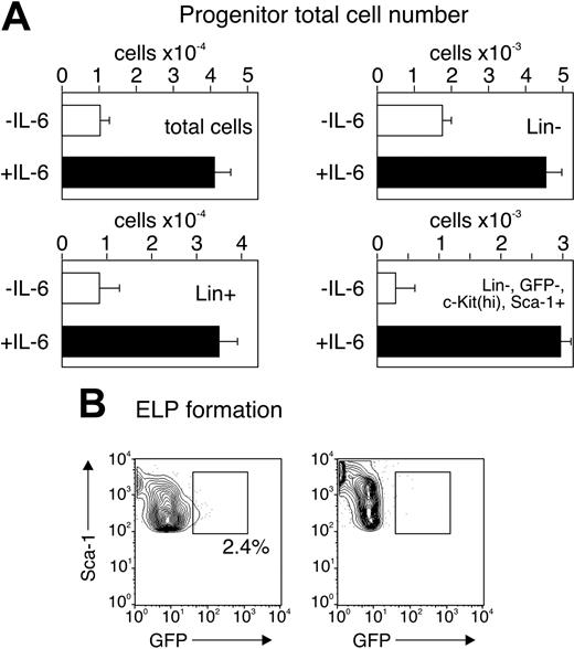Figure 6. IL-6 accelerates proliferation of uncommitted progenitors. Five thousand cells from the sorted c-kithiSca-1+GFP– fraction from wild-type, RAG1-GFP animals were cultured as in Figure 5 and total cell numbers were counted at day 2 (A). The cells were analyzed for expression of lineage markers (CD2, CD3, CD8, CD19, B220, Mac-1, Gr1) and were designated as either Lin+ or Lin–. The Lin– fraction was further analyzed for Sca-1 expression and for levels of c-Kit. The cell number after culture is shown as absolute numbers of duplicate wells (± SD) when cultured without (□) or with (▪) IL-6. The results are representative of 2 separate experiments. (B) Sorted c-kithiSca-1+GFP– fraction from wild-type, RAG1-GFP animals was cultured as in panel A for 72 hours, gated on Lin–, c-Kithi, and analyzed for levels of Sca-1 and GFP. The results are representative of 2 separate experiments.
