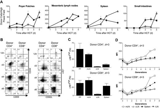 Figure 4. Evaluation of infiltrating donor-derived T cells in allogeneic target tissues. (A) Allogeneic CD4+ T cells precede the increase of donor CD8+ T cells in lymphoid organs during GVHD initiation. Shown are absolute numbers of donor-derived T cells in high-power fields (HPFs) by IFM. The shift from donor CD4+ (▪) to CD8+ T cells (▵) occurred first in the spleen on day 4 and later in other lymphoid organs. Donor CD4+ T cells appear in the small intestines after extensive proliferation in lymphoid organs not earlier than day 4 after HCT followed by infiltrating cytotoxic T cells (Standard deviation was calculated using cell counts from 3 to 4 HPFs of 2 experimental mice for each time point). (B) FACS analysis of donor (H-2Kq+) lymphocytes reveals changes in expression profiles of activation and homing markers. The up-regulation of CD69 in donor CD4+ and CD8+ T cells is followed by CD44 expression. Up-regulation of α4β7 differs between donor CD4+ and CD8+ T cells in the spleen. Shown is a representative experiment (of 2-3 independent experiments) in which cells were pooled from the spleens of allogeneic transplant recipients (n = 3-5/time point). The numbers in each quadrant represent percentages of cells. (C) Donor CD4+ T cells with gut-homing potential appear in PPs and mLNs until day 3 after HCT before donor CD4+ T cells start to appear in mucosal sites of the intestines. On day 3 after HCT the frequency of α4β7hi donor CD4+ T cells in PPs and mLNs is significantly higher in cells primed in vivo by PPs and mLNs versus spleen and cLNs. α4β7hi donor CD8+ T cells can be found in the spleen in addition to PPs and mLNs, but only a few are found in cLNs. Error bars indicate the standard deviation of 3 independent experiments. (D) CFSE proliferation analysis demonstrated that it takes more than 5 cell divisions before up-regulation of α4β7 integrin occurred in mLNs (> 98% of all α4β7hi). Peripheral LNs such as cLNs and iLNs do not contain gut-homing T cells. (PPs are not shown because of too-low cell yields for CFSE analysis.)