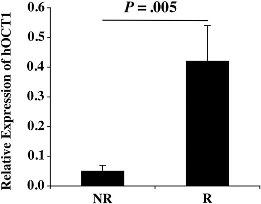 Figure 1. The pre-imatinib hOCT1 expression level in nonresponders (NRs) and responders (Rs).