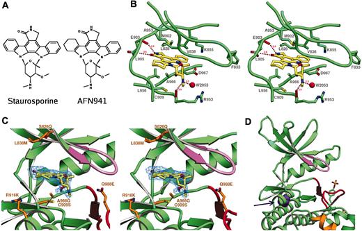 Figure 2. Binding of AFN941 to Jak3 active site. (A) Structure of AFN941 juxtaposed with that of staurosporine. (B) Stereoview of the catalytic cleft of Jak3 bound to AFN941. The protein backbone trace is shown in the region of the active site with residues Leu828, Phe833, Val836, Ala853, Lys855, Met902, Glu903, Cys909, Arg953, Leu956, Ala966, and Asp967 depicted in stick representation. Staurosporine analog AFN941 is shown in stick representation with carbon atoms colored yellow. Carbonyl oxygens of residues Arg953 and Glu903 are shown in red, and water 2053 is depicted as a red sphere. Residue numbers are indicated. Hydrogen bonds to backbone atoms and water are indicated and their distances are noted. (C) Stereoview of the catalytic cleft of Jak3 bound to the staurosporine analog AFN941. The experimental Fobs - Fcalc electron density omit map contoured at 2.5σ in blue is shown for the ligand AFN941. The glycine-rich loop is shown in purple and the activation loop in red. Residues proximal to the active site and divergent between Jak3 and Jak2 are shown in orange stick format and are labeled by Jak3 residue type, Jak3 residue number, and Jak2 residue type. These residues are Ser828Gln, Leu838Met, Cys909Ser, Arg916Lys, Ala966Gly, and Gln988Glu. (D) Location of point mutation Leu910Ser noted in human SCID patients.4 Leu910 is colored purple and indicated by the arrow.
