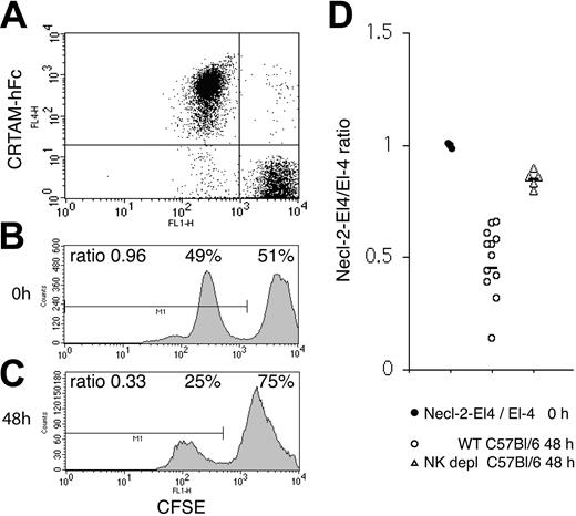 Figure 6. In vivo tumor challenge with Necl-2+ EL-4 cells. (A-B) EL-4 cells transfected with mouse Necl-2 or EL-4 cells were labeled with 2 different concentrations of CFSE and mixed at a 1:1 ratio. Necl-2 expression was assessed by labeling with CRTAM-hFc, which binds Necl-2 but not CD96, DNAM, Nectin-1, Nectin-2, Necl-1, Necl-4, or Necl-5. (C) The cell mixture was injected intraperitoneally into C57BL/6 mice that had been previously treated with poly-I:C 24 hours earlier. Forty-eight hours after tumor challenge, cells were recovered by peritoneal lavage and examined by flow cytometry. Approximately half of the CFSE low population (EL-4–Necl-2) was rejected. One representative profile of 12 mice is shown. (D) Summary of EL-4–Necl-2/EL-4 ratios in 12 non–NK cell–depleted and 5 NK cell–depleted mice. The slight decrease in fluorescence observed in both CFSE peaks after intraperitoneal injection is due to a fluorescence quenching that occurs within the first 4 hours after labeling all cells tested. Poly-I:C injection did not induce up-regulation of CRTAM on mouse NK cells, as assessed by Necl-2–hFc binding to NK cells obtained by peritoneal lavage (data not shown). However, it significantly accelerated tumor rejection, possibly by inducing recruitment of NK cells to the peritoneal cavity (data not shown). Indeed, rejection of cells injected intraperitoneally occurred as late as 72 of 96 hours after injection in the absence of poly-I:C treatment. Horizontal bars indicate the mean ratio.