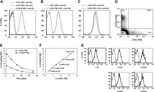 Figure 1. RBCs from mHEL mice express HEL as a surface antigen. Blood was harvested from mHEL or C57BL/6 mice and stained with anti-HEL or anti-OVA antisera followed by a fluorescent secondary antibody (A). Blood from mHEL mice was stained with anti-HEL that was preincubated with HEL or OVA protein followed by secondary antibody (B-C). The mHEL-RBC+ anti-HEL specimen in panels A-C (solid line) represents the same sample displayed in multiple panels for clarity. Leukoreduced RBCs from mHEL and C57BL/6 mice were labeled with CM-DiI and DiO, respectively. The cells were then mixed and transfused into RAG- KO mice. Peripheral blood was harvested, and the percentages (numbers in quadrants) of remaining transfused mHEL or C57BL/6 RBCs were determined by flow cytometry (D). Life span of transfused mHEL and C57BL/6 RBCs was determined by enumerating remaining mHEL or C57BL/6 RBCs by flow cytometry at the indicated time points (E-F). At each indicated time point, the level of mHEL on mHEL RBCs was determined by staining with anti-HEL and gating on labeled transfused mHEL or C57BL/6 cells (G). — indicates gating on mHEL RBCs; and - - -, gating on B6 RBCs. The experiments shown in this figure have been reproduced in at least 3 separate experiments. The data presented in this figure are representative results. Survival studies past 2 weeks have been performed twice with identical results.