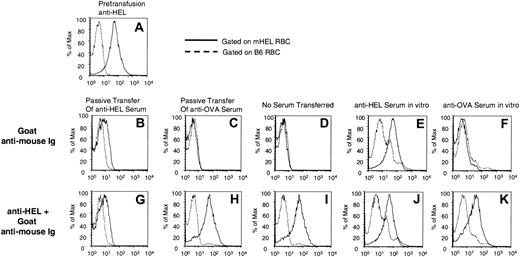 Figure 6. Passive transfer of cell-free serum from HEL/CFA-immunized mice is sufficient to induce HEL antigen loss from transfused mHEL RBCs, but antigen loss does not occur in vitro. A mixture of leukoreduced CM-DiI–labeled mHEL RBCs and DiO-labeled C57BL/6 RBCs was transfused into mice that had previously received an intravenous injection of HEL/CFA immune serum (B,G), OVA/CFA immune serum (C,H), or no injection (D,I). The mixture of RBCs was also incubated with HEL/CFA or OVA/CFA immune serum in vitro (E-K). Two days after transfusion, peripheral blood was harvested. Antibody coating of RBCs was measured by gating on transfused mHEL (CM-DiI+) or C57BL/6 (DiO+) cells and comparing staining with anti–mouse Ig. Remaining HEL antigen was measured by staining with anti-HEL. The experiments shown in this figure have been reproduced in at least 3 separate experiments. The data presented in this figure are representative results.