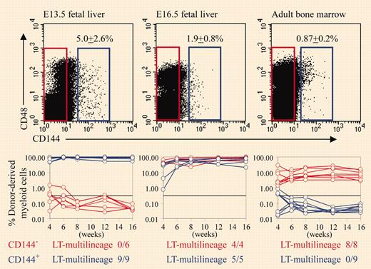 E13.5 fetal liver HSCs express the endothelial marker CD144 (VE-cadherin), but CD144 expression by HSCs declines over time and is no longer detected on adult bone marrow HSCs. See the complete figure in the article beginning on page 903.