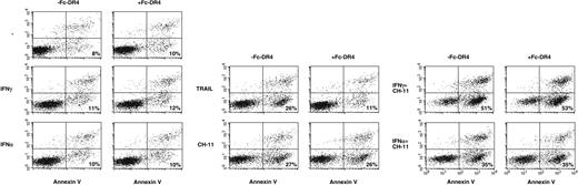 Figure 4. IFN-induced sensitization to Fas-mediated apoptosis is independent of Apo2L/TRAIL. U-266-1970 cells were preincubated with IL-6 (20 U/mL) alone or in combination with IFN-γ (1000 U/mL) or IFN-α (1000 U/mL) for 96 hours, followed by a 24-hour incubation with agonistic anti-Fas antibody CH-11, recombinant soluble Apo2L/TRAIL (TRAIL), or isotype-specific control IgM. In addition, blocking agent rhTRAIL-R1:Fc (Fc-DR4) was continually added during the incubation time in the experiments shown in the right panels. The percentage of annexin V+/PI- apoptotic cells was evaluated by flow cytometry as described in “Patients, materials, and methods.” Four independent experiments were performed. The percentage number in the lower right quadrants of each graph represents the proportion of annexin V+/PI- cells, that is, early apoptotic cells from one representative experiment.