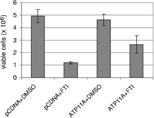 Figure 4. Increased ATP11A expression provides protection against SCH66336. 293 HEK cells were cotransfected with EGFP and ATP11A or with EGFP and pcDNA. After 24 hours, 20 μM SCH66336 was added to the medium, and a viable cell count was performed 48 hours later. The result shown is 1 of 2 independently performed experiments with similar results. Error bars indicate the standard deviation.