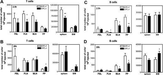 Figure 2. Role of S1P1 in T- and B-cell trafficking to SLOs. (A-B) Thymocytes from S1P1+/ or S1P1–/– FL chimeras were differentially labeled with TRITC or CFSE, mixed, and adoptively transferred into WT mice (n = 6 mice/time-point). After 2.5 hours (A) or 20 hours (B), PBL, SLOs, and BM were harvested and single-cell suspensions were stained for CD4 and CD8α and analyzed by FACS for the presence of TRITC+ and CFSE+ SP T cells. (C-D) Differentially labeled splenocytes from S1P1+/ and S1P1–/– FL chimeras were adoptively transferred into WT mice (n = 4 mice/time-point).After 2.5 hours (C) and 20 hours (D), PBL, single-cell suspensions from SLOs, and BM were stained for B220 and analyzed by FACS for the presence of TRITC+ and CFSE+ B cells. Data are shown as total number of homed cells per million injected. Error bars indicate SEM. *P < .05; **P < .01.