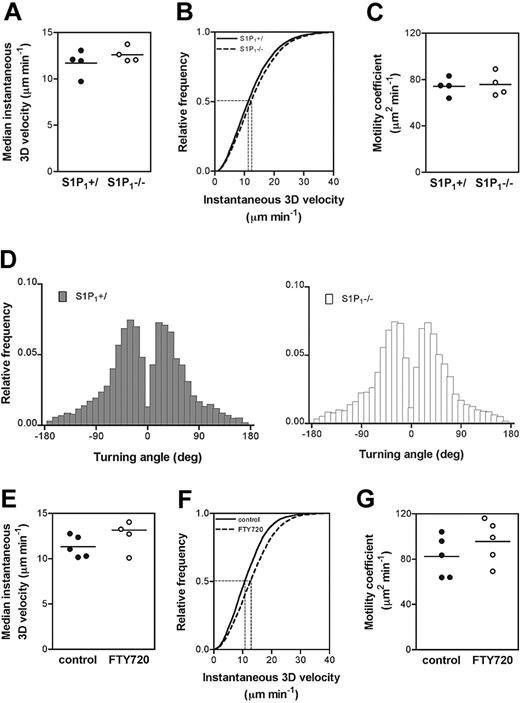 Figure 3. S1P1 deficiency does not affect T-cell motility within the popliteal LN. (A-D) Differentially fluorescently labeled S1P1+/ and S1P1–/– CD4+ SP cells were adoptively transferred into WT mice and their migratory behavior was analyzed in the same LN after 24 hours and 48 hours using MP-IVM (pooled data, n = 2 mice/time-point). Parameters analyzed are (A) the median instantaneous 3D velocity (S1P1+/: 12.0 ± 0.7 μm minute–1 versus S1P1–/–: 12.4 ± 0.4 μm minute–1), (B) the cumulative instantaneous 3D velocity, (C) motility coefficients (S1P1+/: 73.5 ± 5.1 μm2 minute–1 versus S1P1–/–: 74.8 ± 4.0 μm2 minute–1), and (D) turning angles. (E-G) Differentially fluorescently labeled untreated (control) or CD4+ T cells from FTY720-treated WT donors were adoptively transferred into WT recipients (n = 2 mice, 2-3 recordings/mouse). After 3 hours, cell motility was analyzed in the popliteal LN. (E) Median instantaneous 3D velocity (control: 11.3 ± 0.5 μm minute–1 versus FTY720: 13.2 ± 0.9μm minute–1), (F) cumulative instantaneous 3D velocity, (G) motility coefficients (control: 82.3 ± 8.2 μm2 minute–1 versus FTY720: 95.6 ± 8.5 μm2 minute–1). Horizontal bars in panels A, C, E, G represent the mean of the measurements. Dashed horizontal lines in panels B and F indicate a frequency of 0.5, corresponding to the median. Vertical dashed lines connect these data points to the x-axis, indicating the median values for instantaneous 3D velocity.